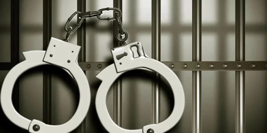 আ.লীগের ঝটিকা মিছিলের পরিকল্পনা-অর্থায়ন-অংশগ্রহণ, ৩৪ নেতাকর্মী গ্রেফতার