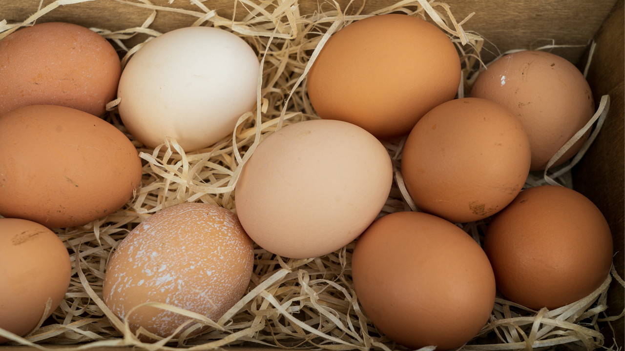 টানা ৩০ দিন ডিম খেলে শরীরে অবিশ্বাস্য যে ৫ পরিবর্তন আসে