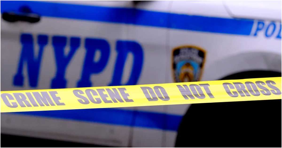 পায়ে কামড়, কুইন্সে কুকুরকে গুলি করে হত্যা পুলিশ কর্মকর্তার