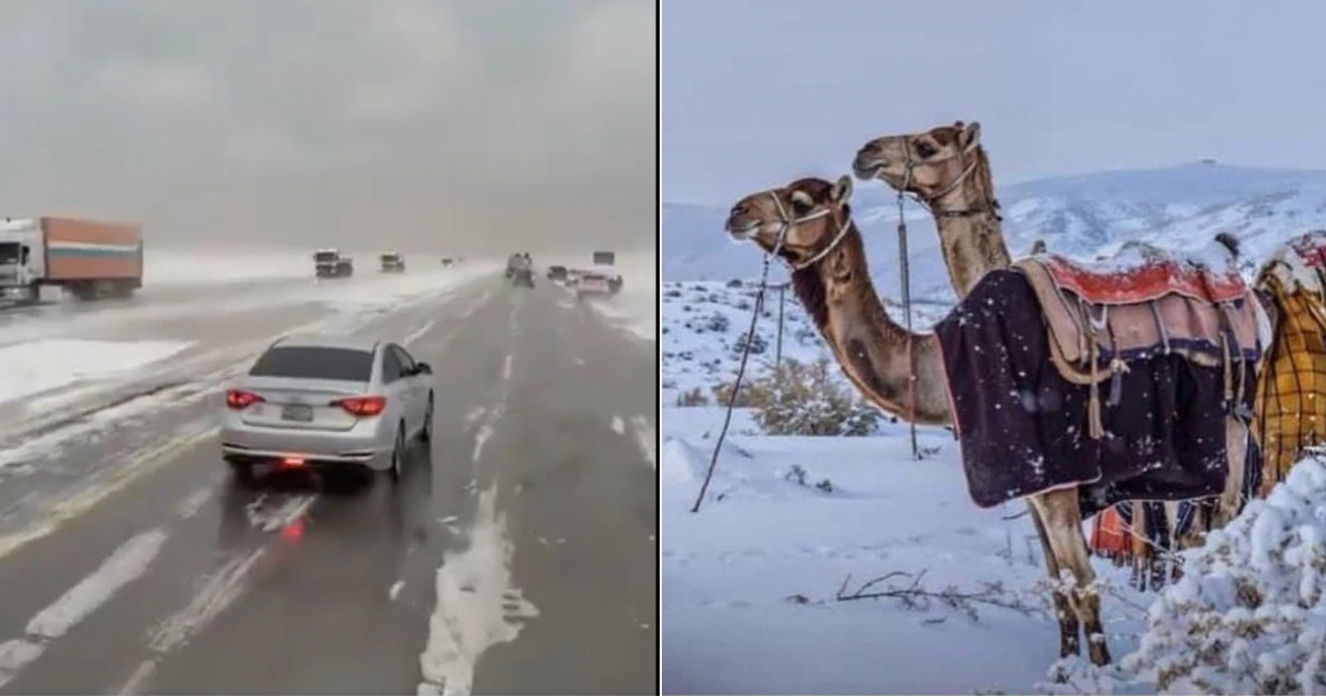 সৌদি আরবে দেখা গেল বিরল তুষারপাত