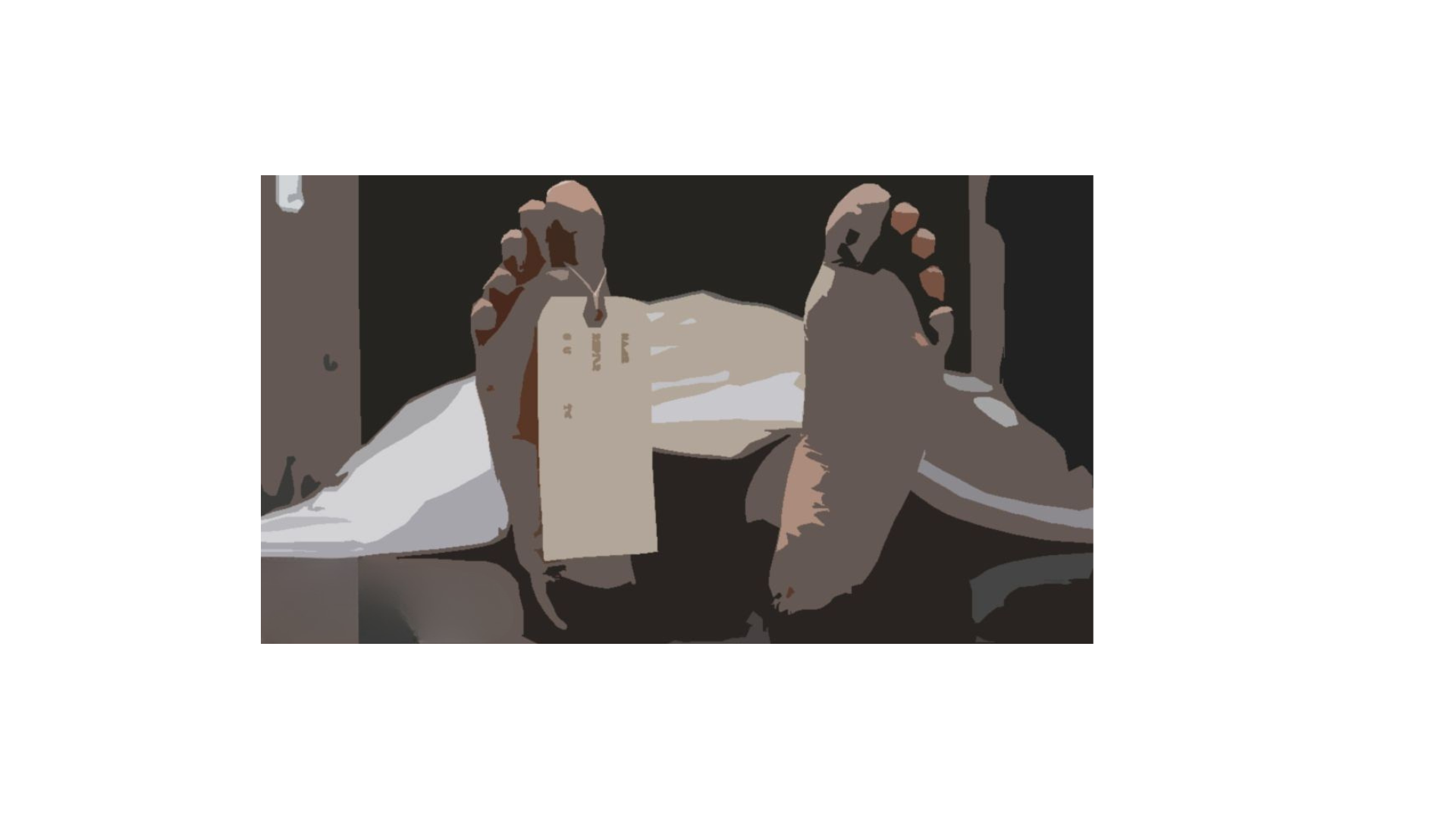 স্ত্রীকে হত্যার পর শ্বশুরকে ফোন দিয়ে লাশ নিতে বললেন যুবক